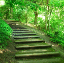 going_green